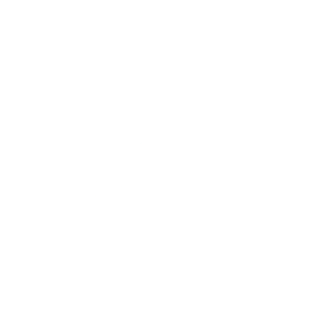bearlink
